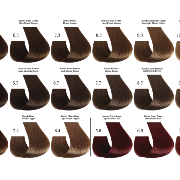 Be COLOR CATALOGUE 3