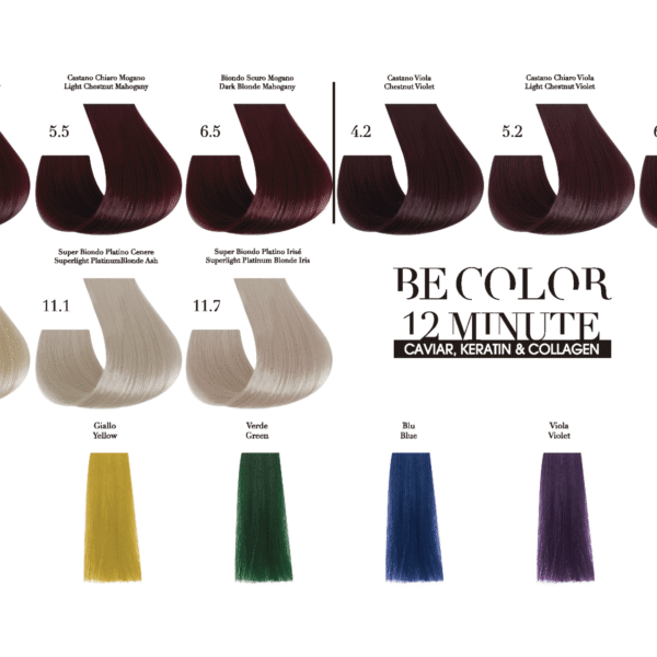 Be COLOR CATALOGUE 4